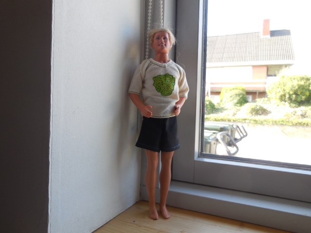 Annoncebillede